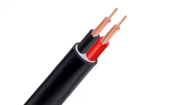 Cáp điện CVV/BVV-Cu/PVC/PVC 2x