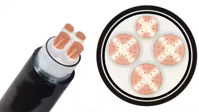 Cáp ngầm CXV/SWA-Cu/XLPE/DSTA/PVC 3x+1x