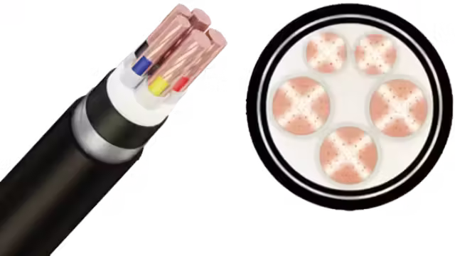 Cáp ngầm CXV/SWA-Cu/XLPE/DSTA/PVC 3x+2x