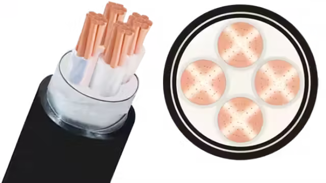 Cáp ngầm CXV/SWA-Cu/XLPE/DSTA/PVC 4x