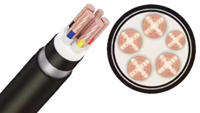 Cáp ngầm CXV/SWA-Cu/XLPE/DSTA/PVC 4x+1x