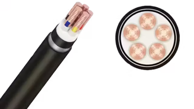 Cáp ngầm CXV/SWA-Cu/XLPE/DSTA/PVC 5x